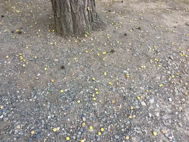 北広島市総鎮守 廣島神社の自然
