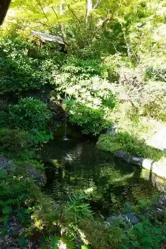 長法寺の庭園