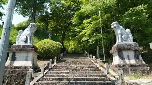 大津神社の狛犬