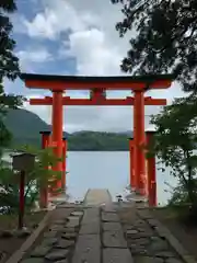 箱根神社の鳥居