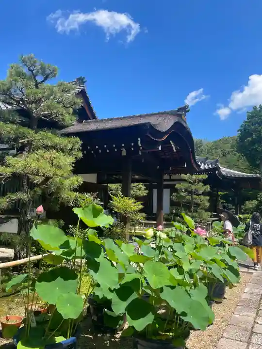 法金剛院(京都府)