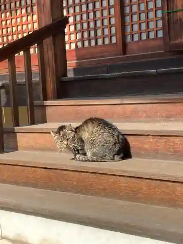 荘嚴浄土寺(大阪府)
