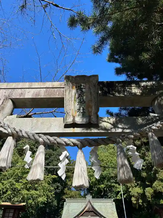 安房神社の鳥居