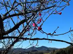 常陸国出雲大社(茨城県)