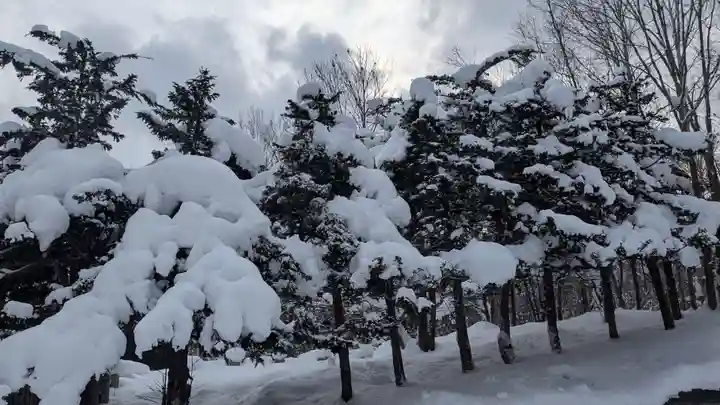 神居神社の自然