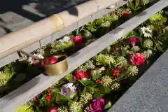 豊景神社の手水