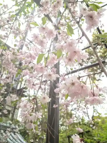 阿智神社の庭園