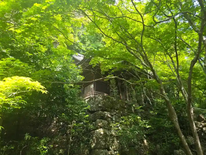 勝持寺(花の寺)(京都府)