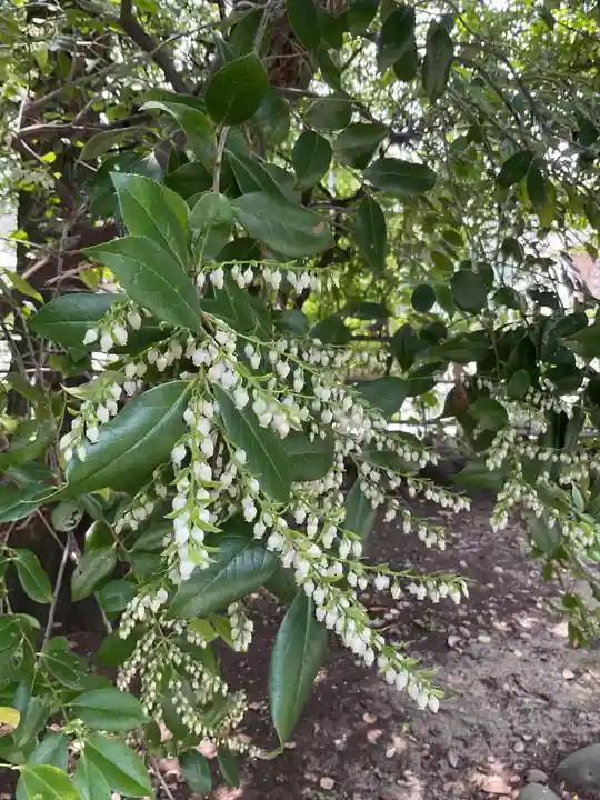 田縣神社(愛知県)