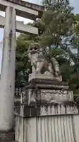 敷地神社(わら天神宮)の狛犬