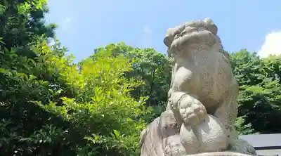 武州白子熊野神社の狛犬