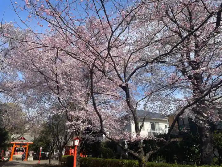 村富神社の自然