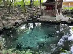 泉神社(茨城県)