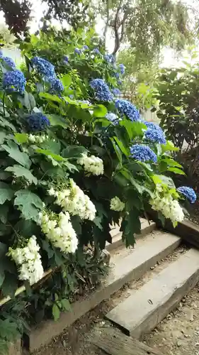 香勝寺の庭園