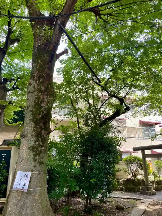 目黒富士浅間神社(東京都)
