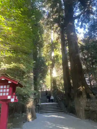 箱根神社(神奈川県)