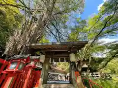 貴船神社(京都府)