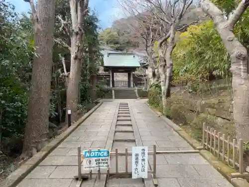 正続院（円覚寺塔所）の{uncategorized: "未分類", other: "その他", undefined: "問題あり", building: "その他建物", grave: "お墓", sacred_gate: "鳥居", guardian: "狛犬", statue: "像", buddha: "仏像", history: "歴史", nature: "自然", garden: "庭園", animal: "動物", pagoda: "塔", temizu: "手水舎", mountain_gate: "山門・神門", sanctuary: "本殿・本堂", subordinate: "末社・摂社", art: "芸術", scenery: "景色", jizo: "地蔵", ema: "絵馬", goshuin: "御朱印", omikuji: "おみくじ", items: "授与品その他", amulet: "お守り", goshuincho: "御朱印帳", eats: "食事", festival: "お祭り", votive_dance: "神楽", shichigosan: "七五三参", wedding: "結婚式", experience: "体験その他", initially: "初詣", around: "周辺", anti_infection: "感染症対策"}