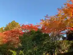 霊鑑寺門跡(京都府)