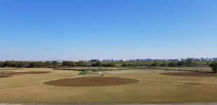 正円寺(埼玉県)