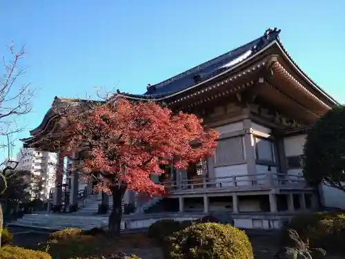 孝勝寺の本殿