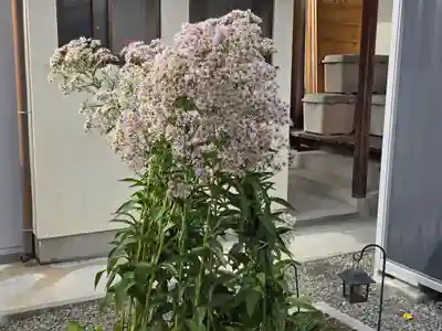 満徳寺(大阪府)