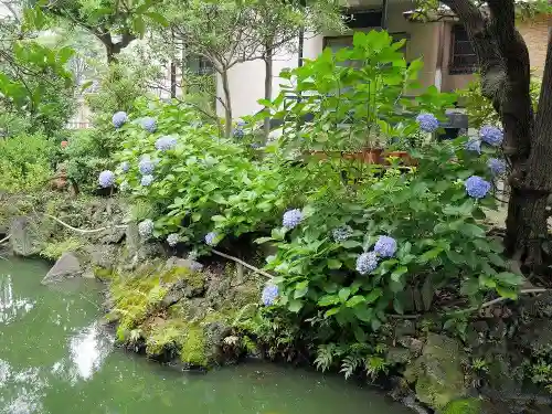 富岡八幡宮の庭園