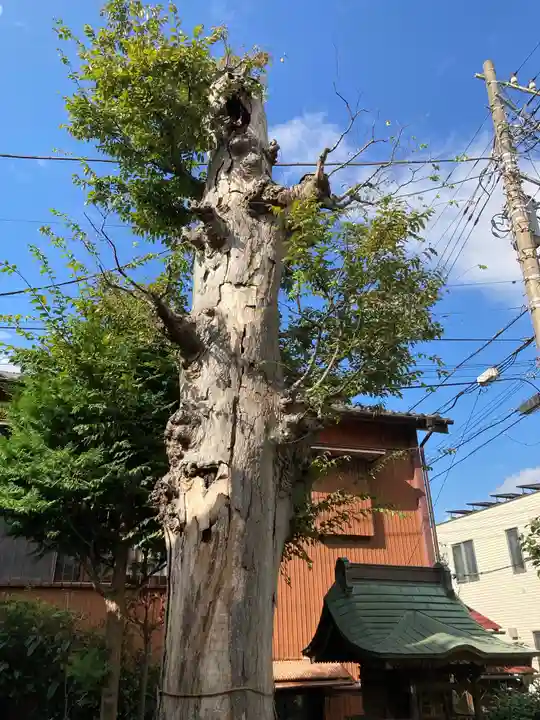 船玉神社の自然