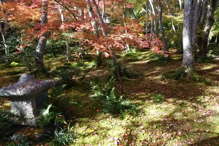 祇王寺(京都府)