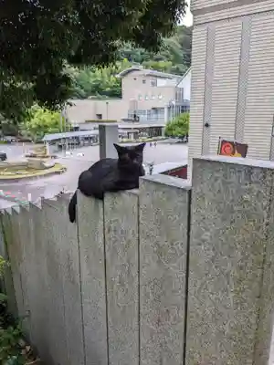 王子神社(徳島県)