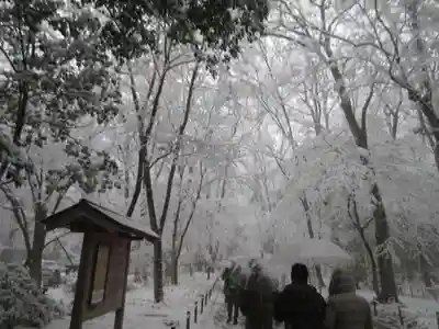 賀茂御祖神社（下鴨神社）(京都府)