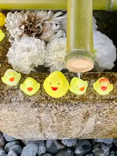 くろ谷 金戒光明寺の手水舎