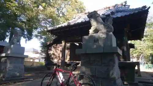 大宮神社の狛犬