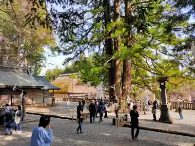 戸隠神社中社(長野県)