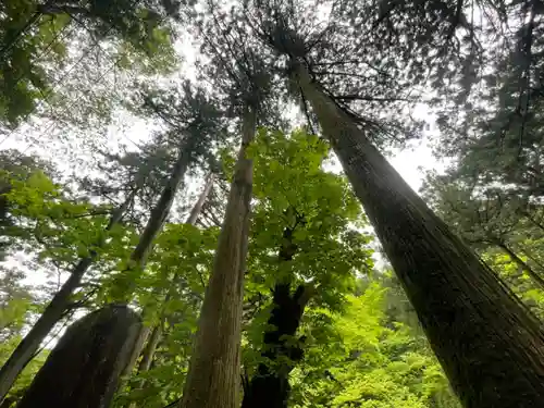 榛名神社の自然