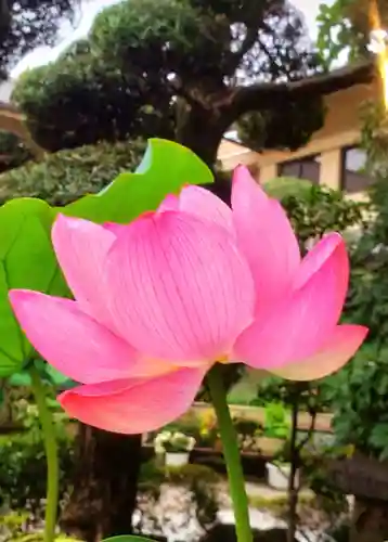 世尊院(東京都)