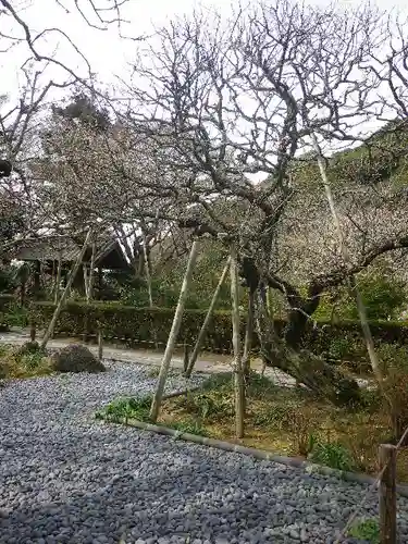 瑞泉寺の庭園