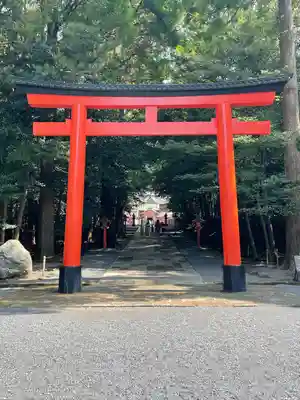 霧島神宮(鹿児島県)