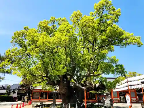 風浪宮のその他建物