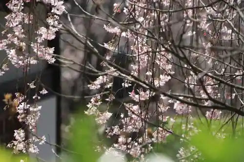 延命寺の庭園