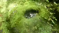 平泉寺白山神社(福井県)