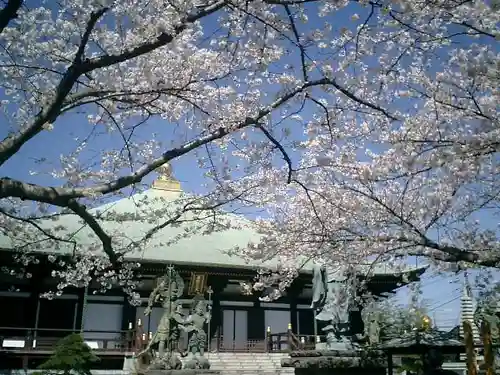 長勝寺の本殿・本堂
