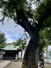 町屋神社(神奈川県)