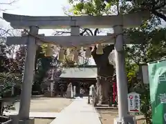 新田神社の鳥居