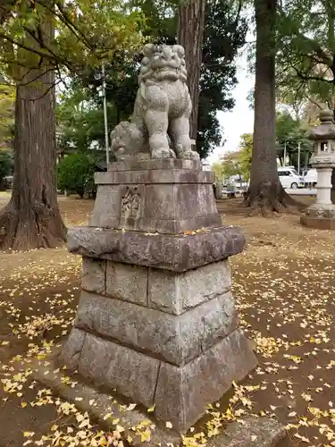 豊玉氷川神社の狛犬