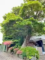 小動神社(神奈川県)
