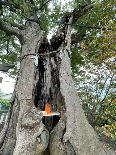 三ツ木神社(埼玉県)