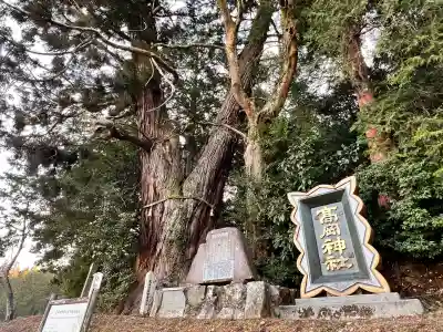 高岡神社の{uncategorized: "未分類", other: "その他", undefined: "問題あり", building: "その他建物", grave: "お墓", sacred_gate: "鳥居", guardian: "狛犬", statue: "像", buddha: "仏像", history: "歴史", nature: "自然", garden: "庭園", animal: "動物", pagoda: "塔", temizu: "手水舎", mountain_gate: "山門・神門", sanctuary: "本殿・本堂", subordinate: "末社・摂社", art: "芸術", scenery: "景色", jizo: "地蔵", ema: "絵馬", goshuin: "御朱印", omikuji: "おみくじ", items: "授与品その他", amulet: "お守り", goshuincho: "御朱印帳", eats: "食事", festival: "お祭り", votive_dance: "神楽", shichigosan: "七五三参", wedding: "結婚式", experience: "体験その他", initially: "初詣", around: "周辺", anti_infection: "感染症対策"}