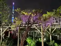 亀戸天神社の{uncategorized: "未分類", other: "その他", undefined: "問題あり", building: "その他建物", grave: "お墓", sacred_gate: "鳥居", guardian: "狛犬", statue: "像", buddha: "仏像", history: "歴史", nature: "自然", garden: "庭園", animal: "動物", pagoda: "塔", temizu: "手水舎", mountain_gate: "山門・神門", sanctuary: "本殿・本堂", subordinate: "末社・摂社", art: "芸術", scenery: "景色", jizo: "地蔵", ema: "絵馬", goshuin: "御朱印", omikuji: "おみくじ", items: "授与品その他", amulet: "お守り", goshuincho: "御朱印帳", eats: "食事", festival: "お祭り", votive_dance: "神楽", shichigosan: "七五三参", wedding: "結婚式", experience: "体験その他", initially: "初詣", around: "周辺", anti_infection: "感染症対策"}