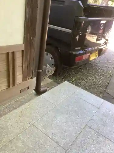 玉野御嶽神社の動物